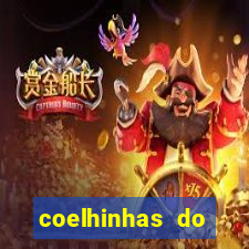 coelhinhas do brasil site